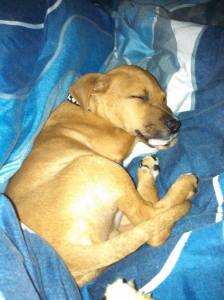 1422667_10152009191412350_1923273808_n