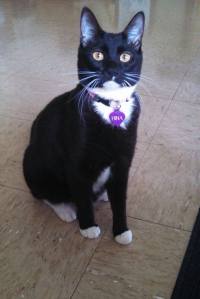 10173169_10152310900922350_1198262829_o