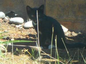 10417748_10152526555292350_161549164260261876_n