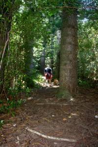 10154262_10152581240772350_5124585059638772604_n