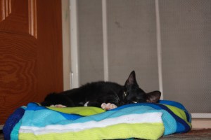 She really likes this towel.