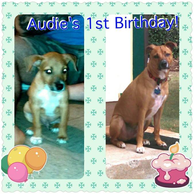 Left: the day we brought him home Right: His first birthday.