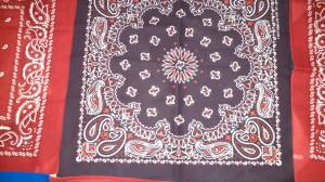 10737877_10152815226017350_1827833626_o