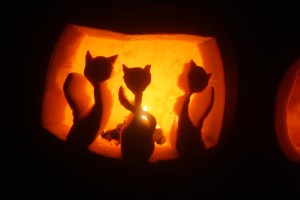 Three kitties for Jack, Hina, and Taz