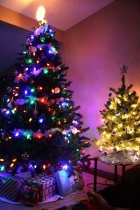 Our trees all lit up.