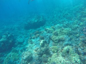 Gorgeous clear water near Molokini.