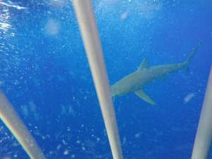 See the bubbles? Thank the current.