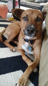 My big two year old bub!