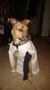 Audie dressed as Dobby the house elf