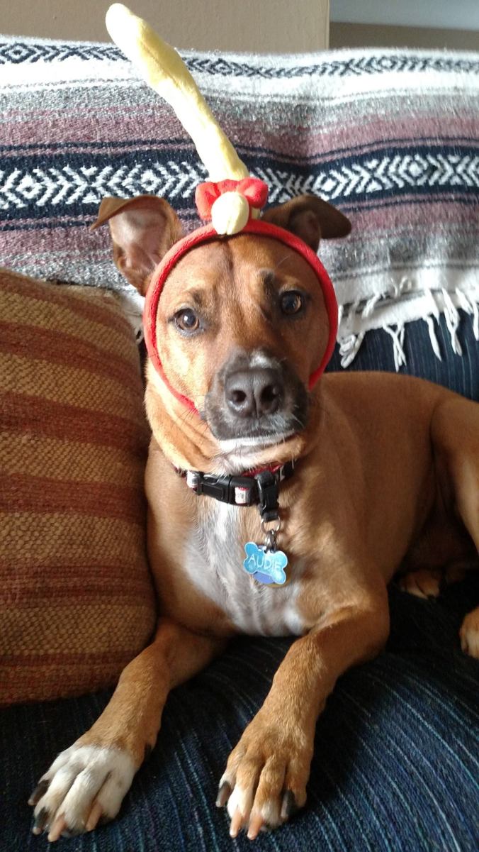 12389123_10153789386117350_934047984_o