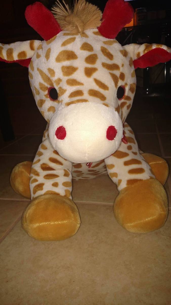 12736485_10153925717787350_56622541_o