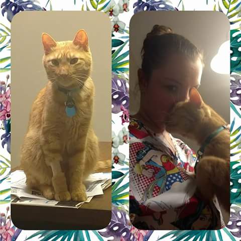 FB_IMG_1500127408351