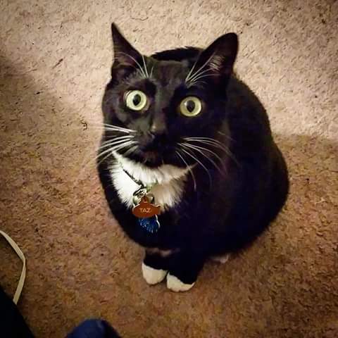 FB_IMG_1500127729012