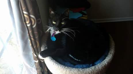 FB_IMG_1500128335411