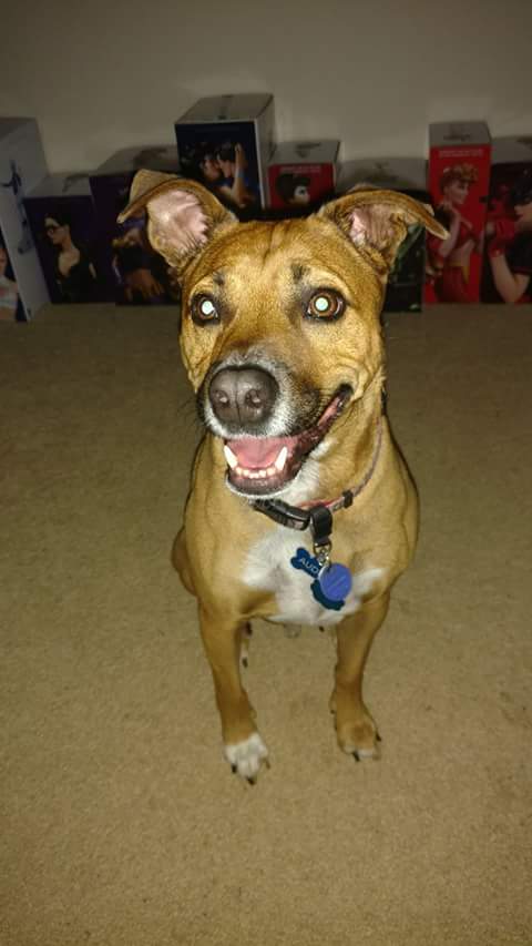 FB_IMG_1500135208223