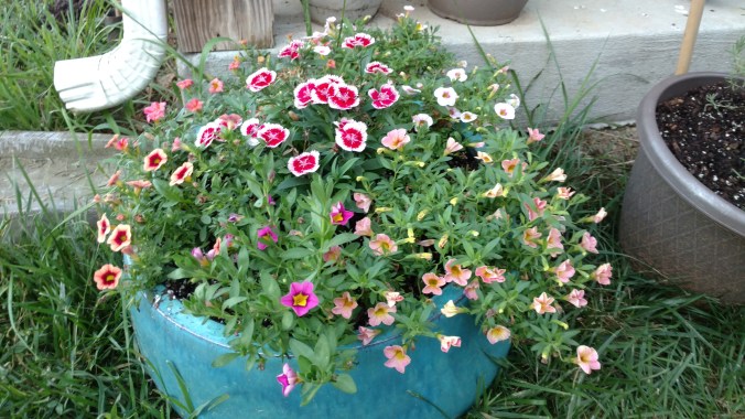 IMG_20170713_194851726