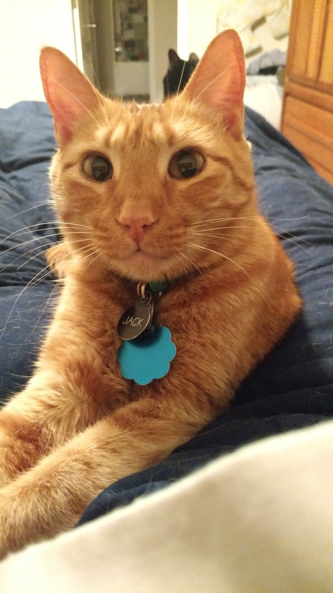 IMG_20170714_205430445