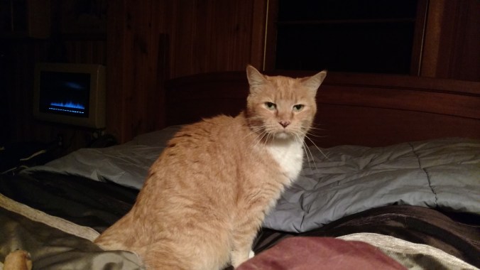 IMG_20171227_000001411[1]