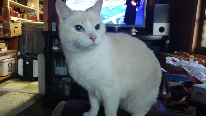 IMG_20171229_083916189[1]