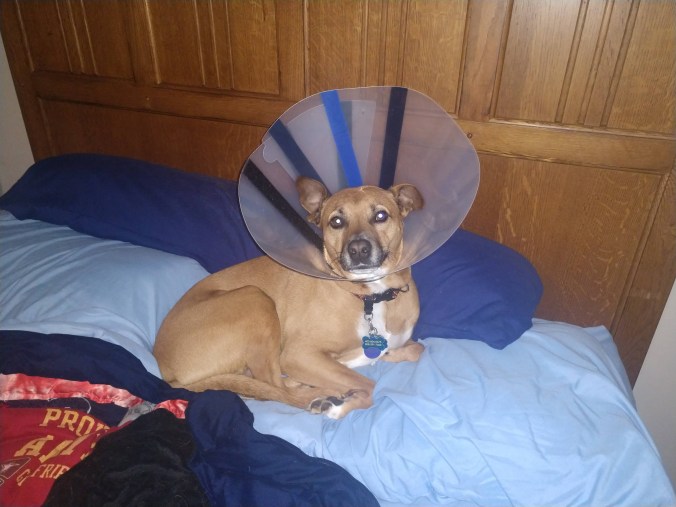 img_20190111_070827201