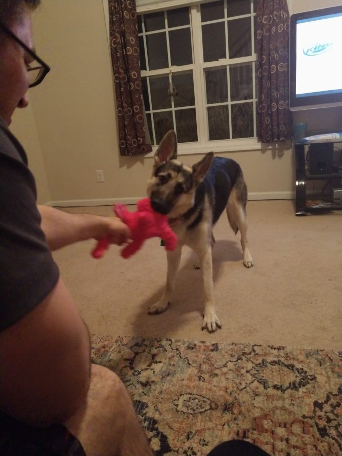 img_20190120_221308209