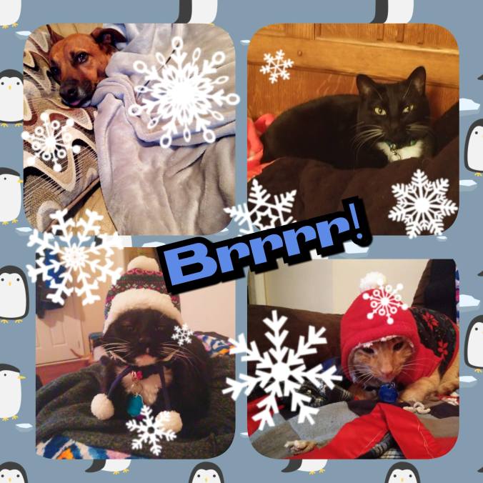 photogrid_1548212840267-1