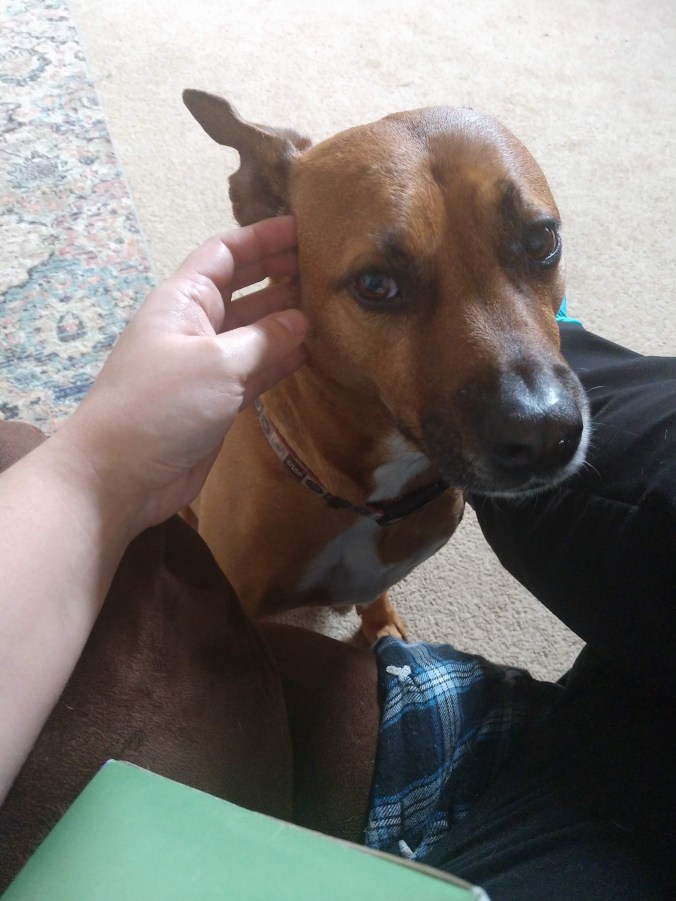 img_20190215_131455884